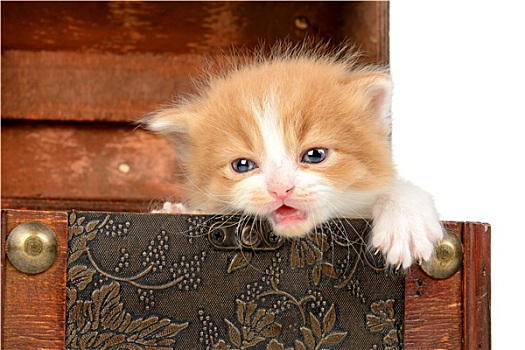 dự đoán xổ số dong nai hôm nay