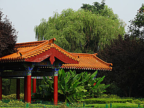 miền bắc thứ ba hàng tuần