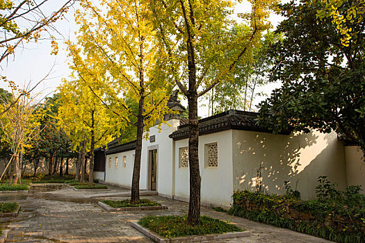 xổ số tiền giang