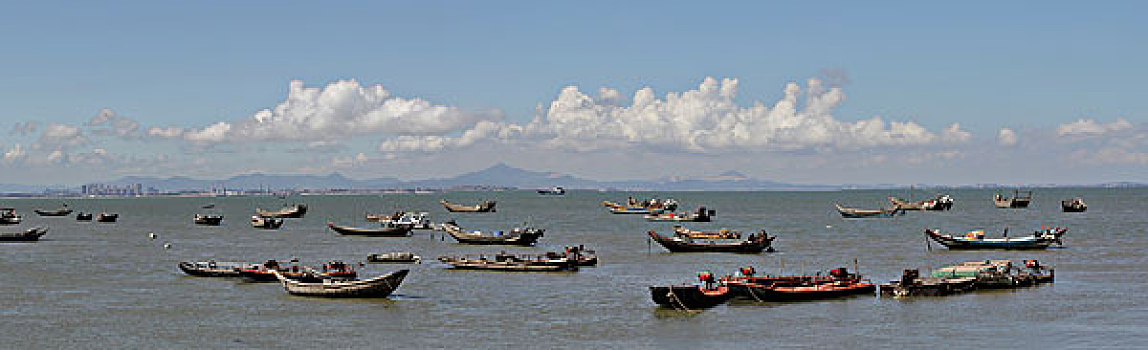 cau bachthu mienbac
