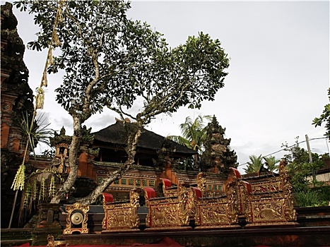 soicau888 miễn phí
