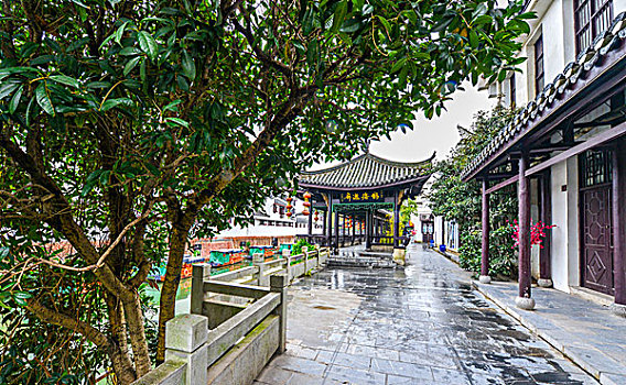 trực tiếp minh ngọc