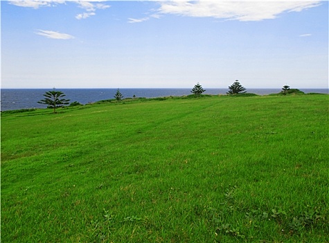 soi cau xo so binh duong mien phi