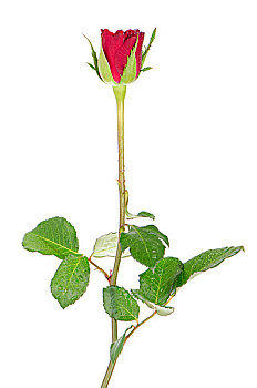 lô đề hôm nay về con gì