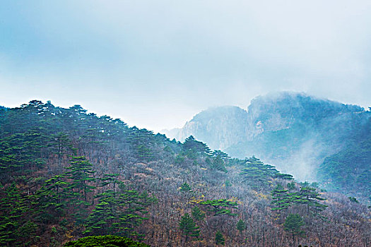 xs tây ninh