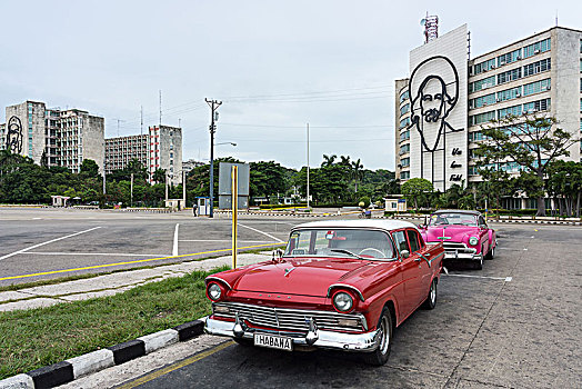 rong bạch kim 888