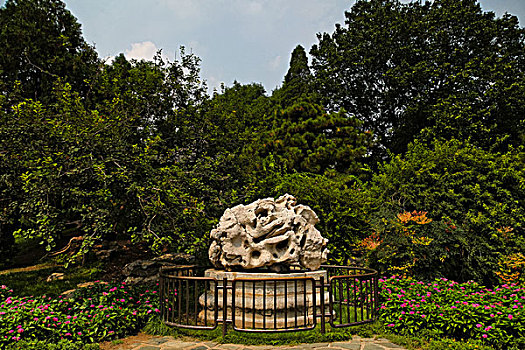 soicau888 rongbachkim