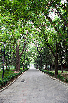 lô kép khung 5 ngày