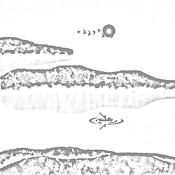 soi cau 100