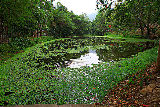 kết quả xsmb