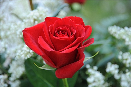 bach thu loto hom nay