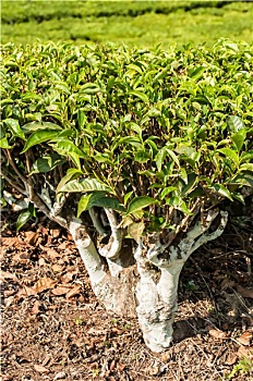 dự đoán soi cầu xổ số miền bắc