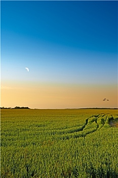 xo so mien nam thu 6