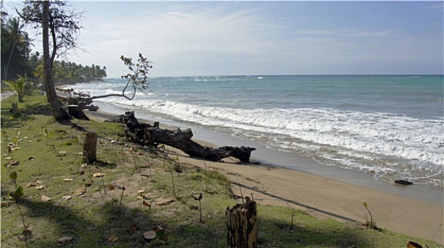 soi cầu đại lộc