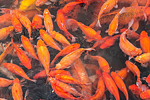 xổ số miền nam