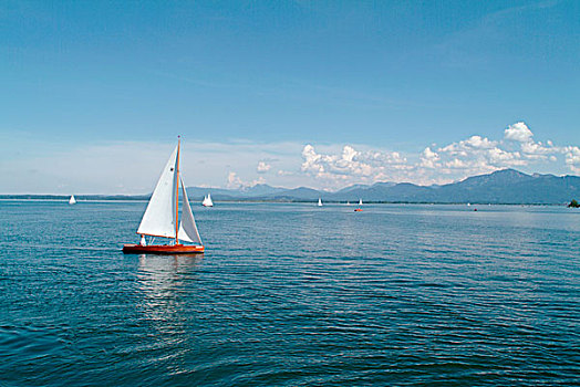 soi cầu