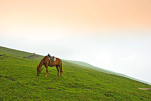 thống kê xổ số tiền giang