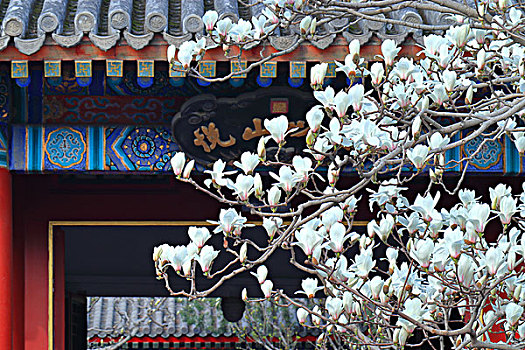 xổ số miền nam hàng tuần