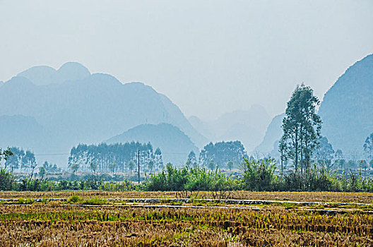 sô xô miên bắc hôm nay
