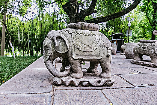 cầu số đề