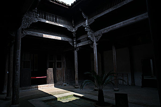 minh ngoc mn