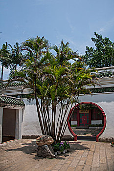trực tiếp xổ số long an