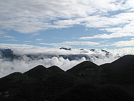 soi cau lo bach thu mien phi
